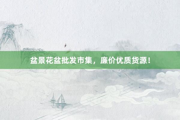 盆景花盆批发市集，廉价优质货源！