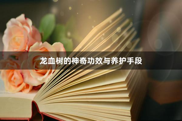 龙血树的神奇功效与养护手段