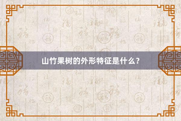 山竹果树的外形特征是什么？