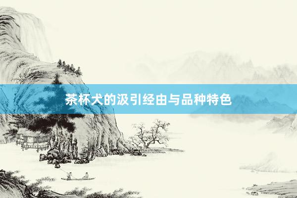 茶杯犬的汲引经由与品种特色