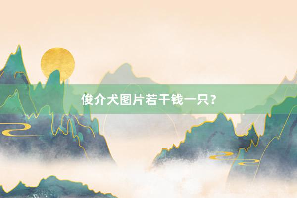 俊介犬图片若干钱一只？