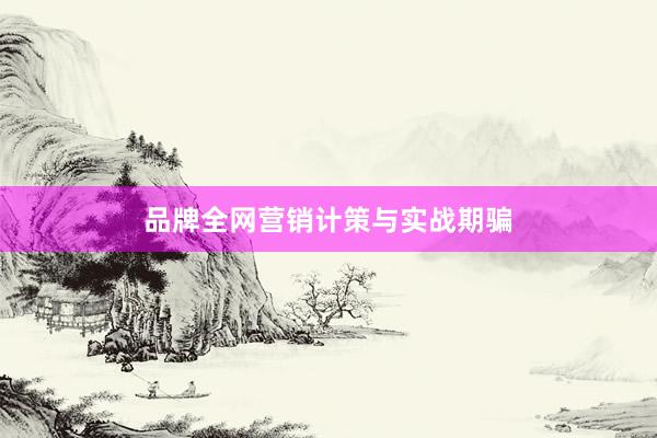 品牌全网营销计策与实战期骗